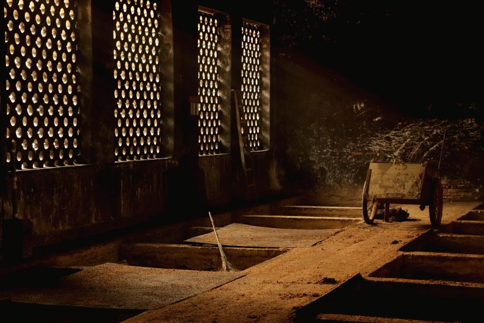 央媒點贊四特酒！ 深度解讀四特酒守正創新的品牌精神內核